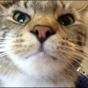 Meet your Posher, Diana